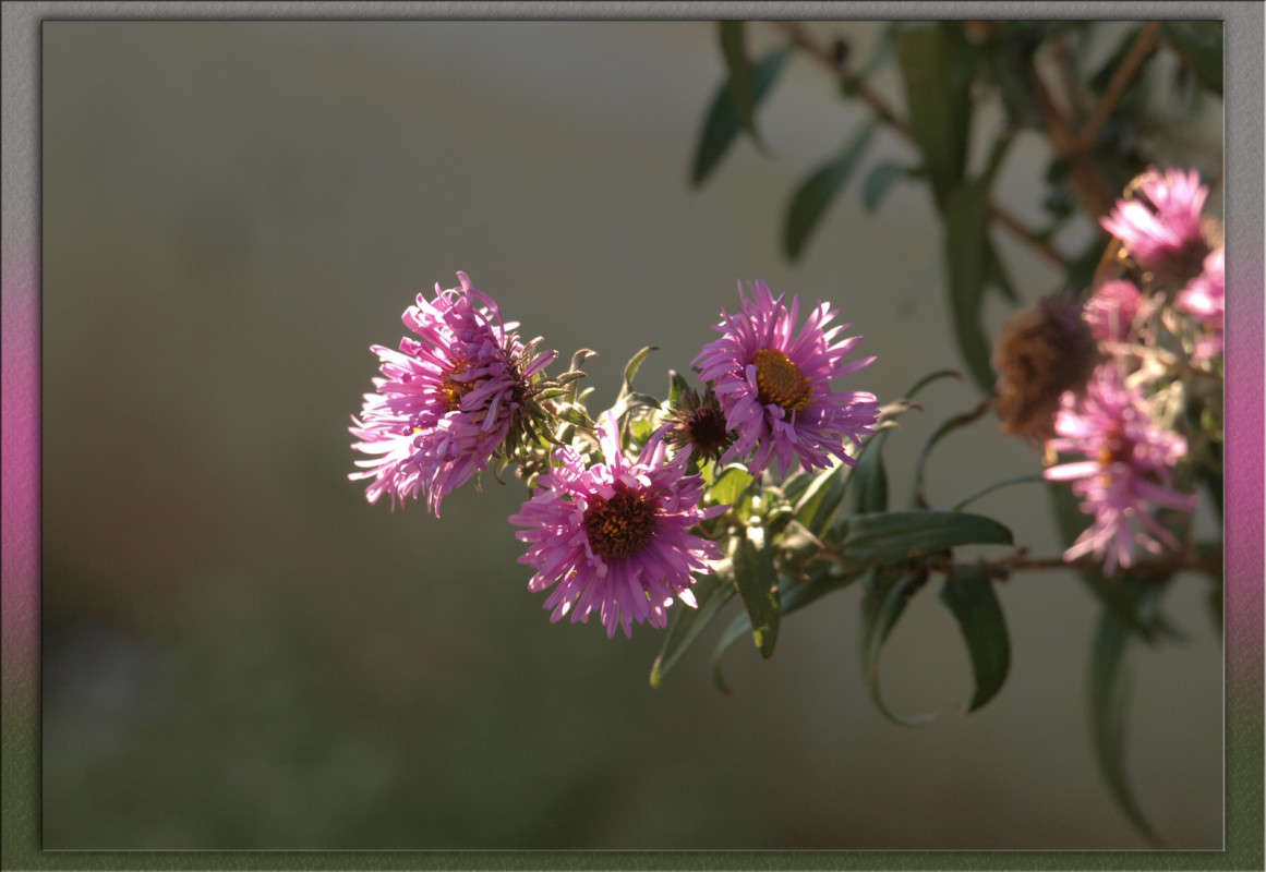 ��������� ���� ����� 28 ����� ������  �� PhotoGeek.ru #������ ��� �������