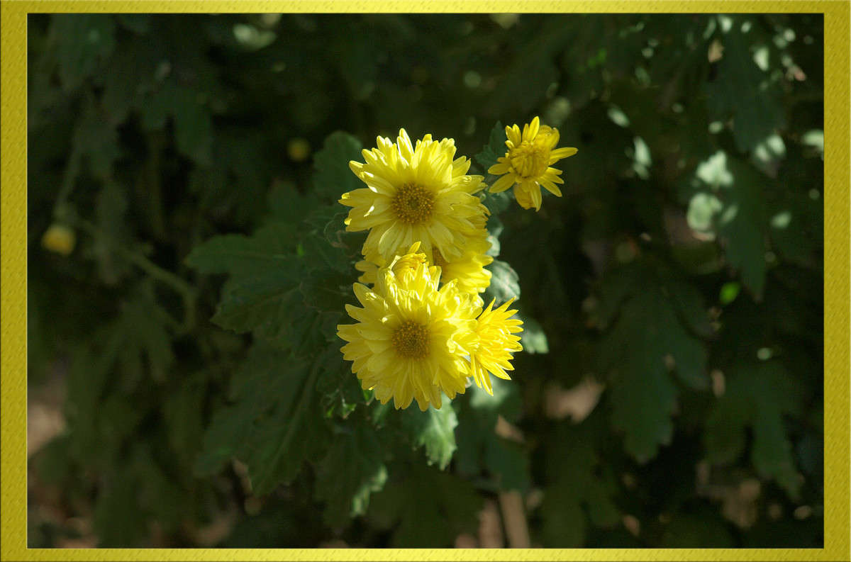 ��������� ���� ����� 29 ����� ������  �� PhotoGeek.ru #������ ��� �������