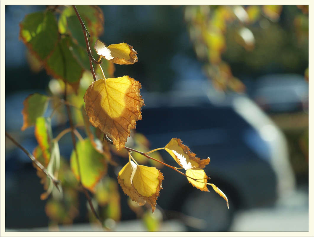 ��������� ���� ����� 30 ����� ������  �� PhotoGeek.ru #������ ��� �������