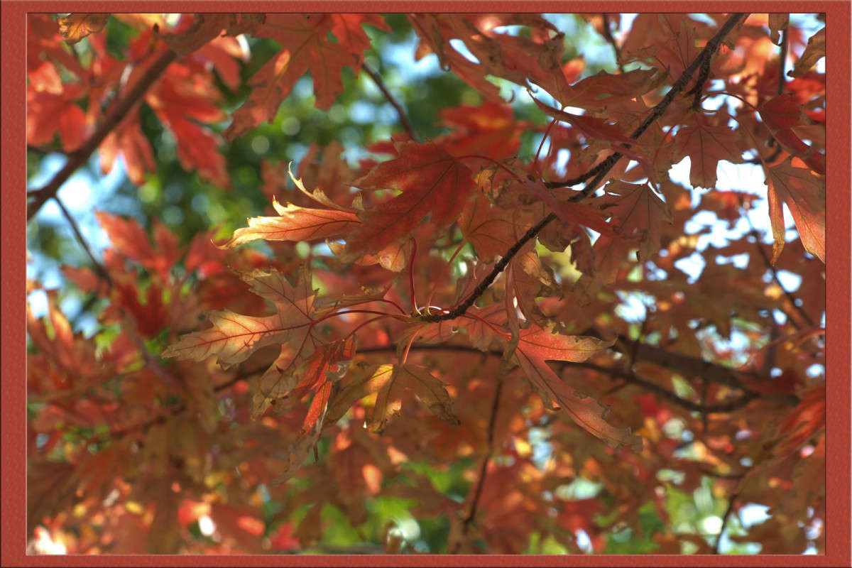 ��������� ���� ����� 31 ����� ������  �� PhotoGeek.ru #������ ��� �������