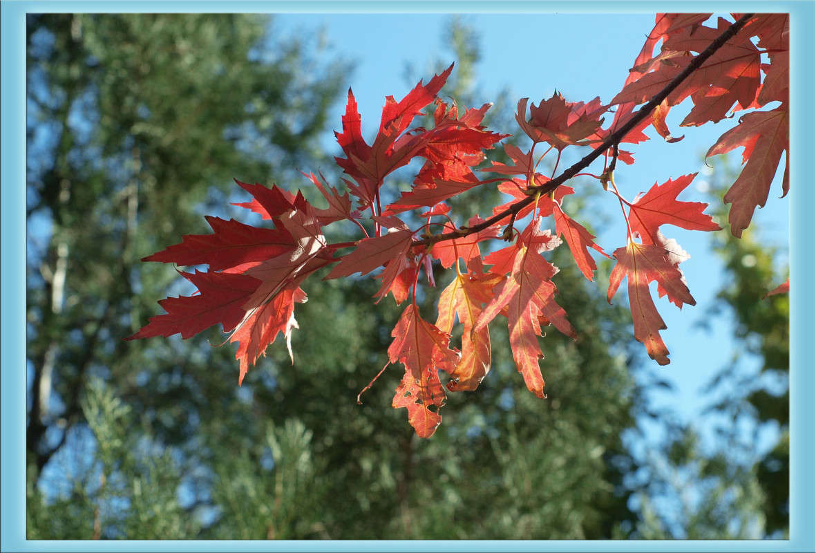 ��������� ���� ����� 32 ����� ������  �� PhotoGeek.ru #������ ��� �������