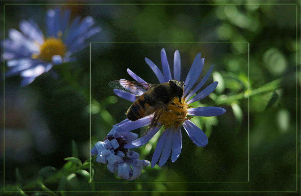 ��������� ���� ����� 33 ����� ������  �� PhotoGeek.ru #�����