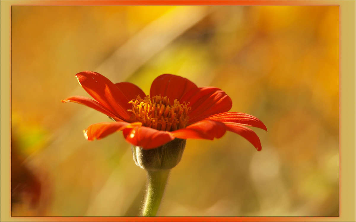 ������-������ ����� ������  �� PhotoGeek.ru #������ ��� �������