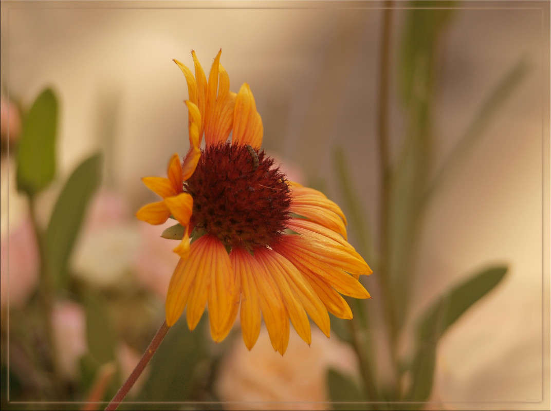 � ��������� �������� ����� ������  �� PhotoGeek.ru #������ ��� �������