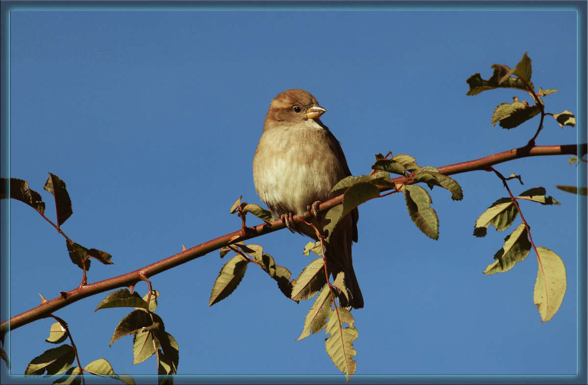 ��������� ����� ������  �� PhotoGeek.ru #�������� ���