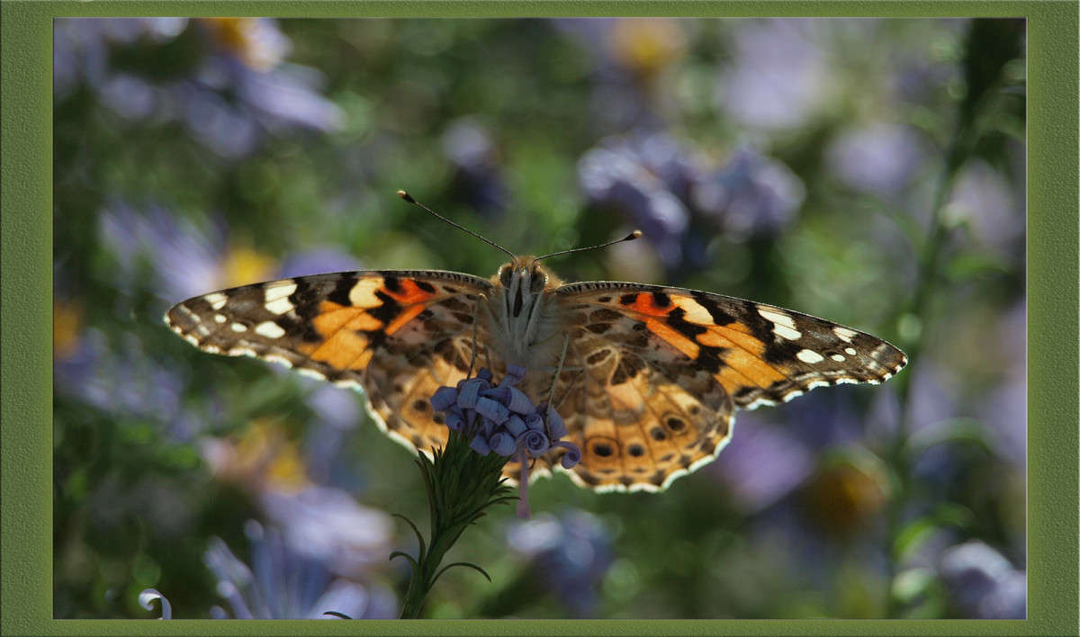 ���������� ����� ������  �� PhotoGeek.ru #�����