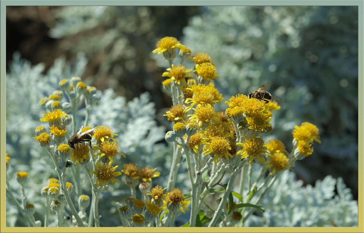 ��������� ���� ����� 34 ����� ������  �� PhotoGeek.ru #������ ��� �������