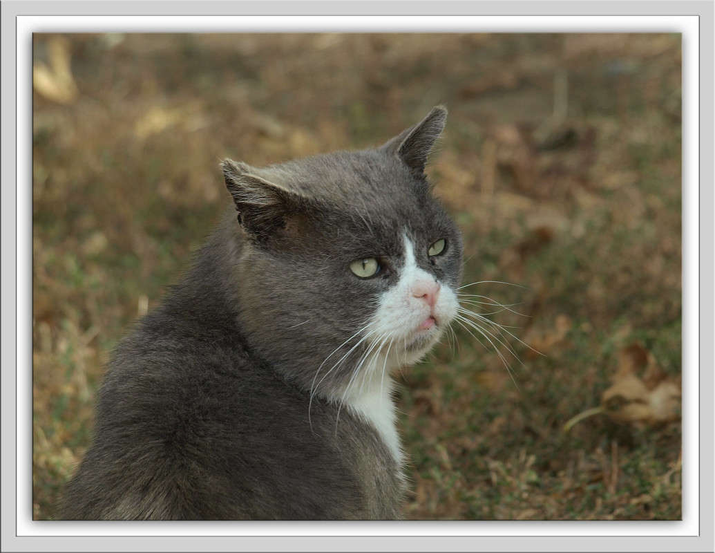 ����� ����� ������  �� PhotoGeek.ru #�������� ���