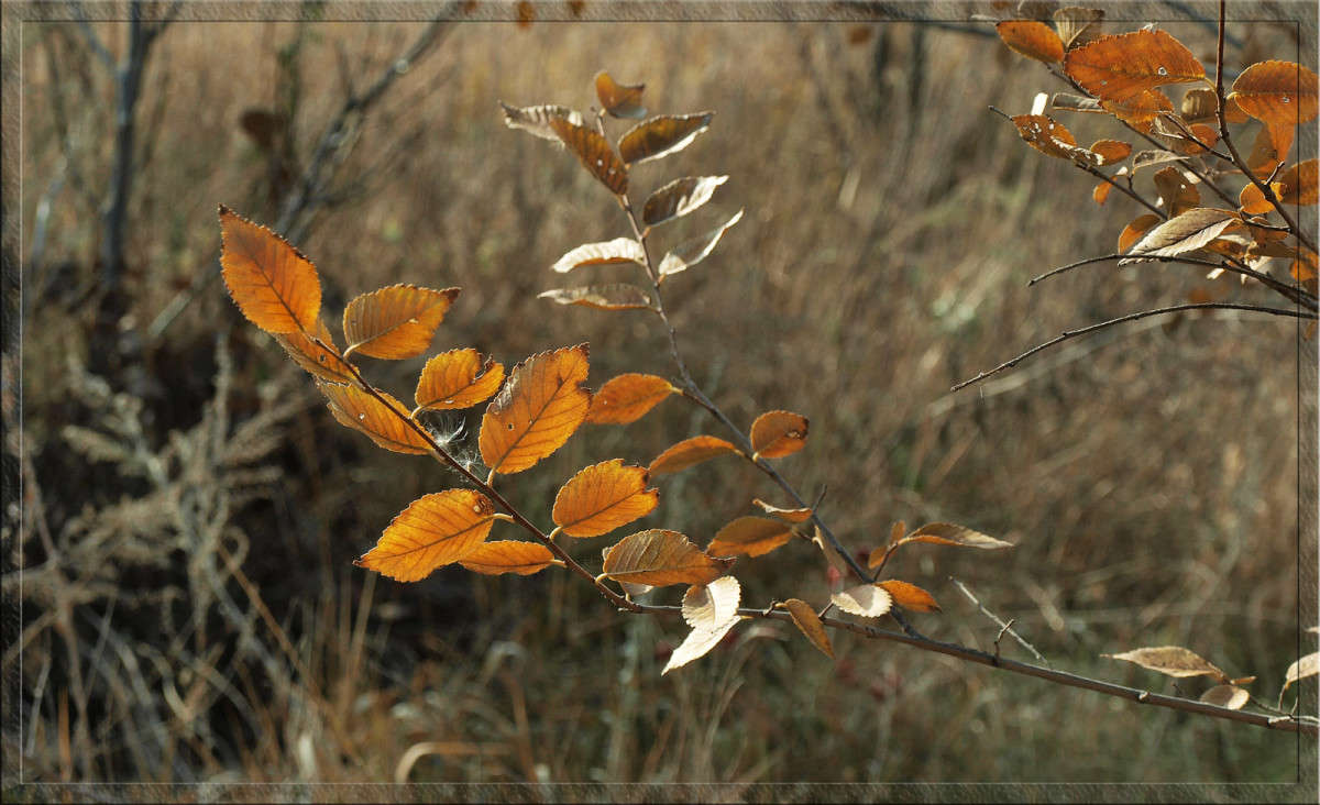 ��������� ���� ����� 36 ����� ������  �� PhotoGeek.ru #������ ��� �������