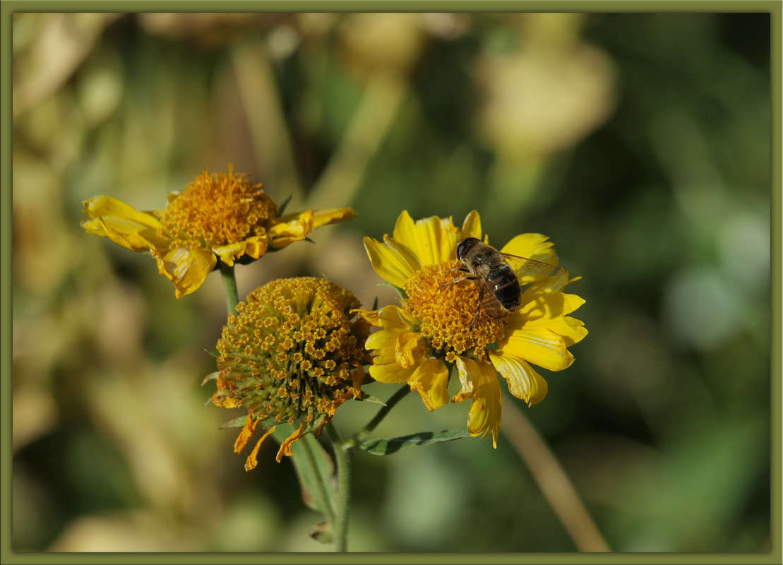 ��������� ���� ����� 37 ����� ������  �� PhotoGeek.ru #������ ��� �������