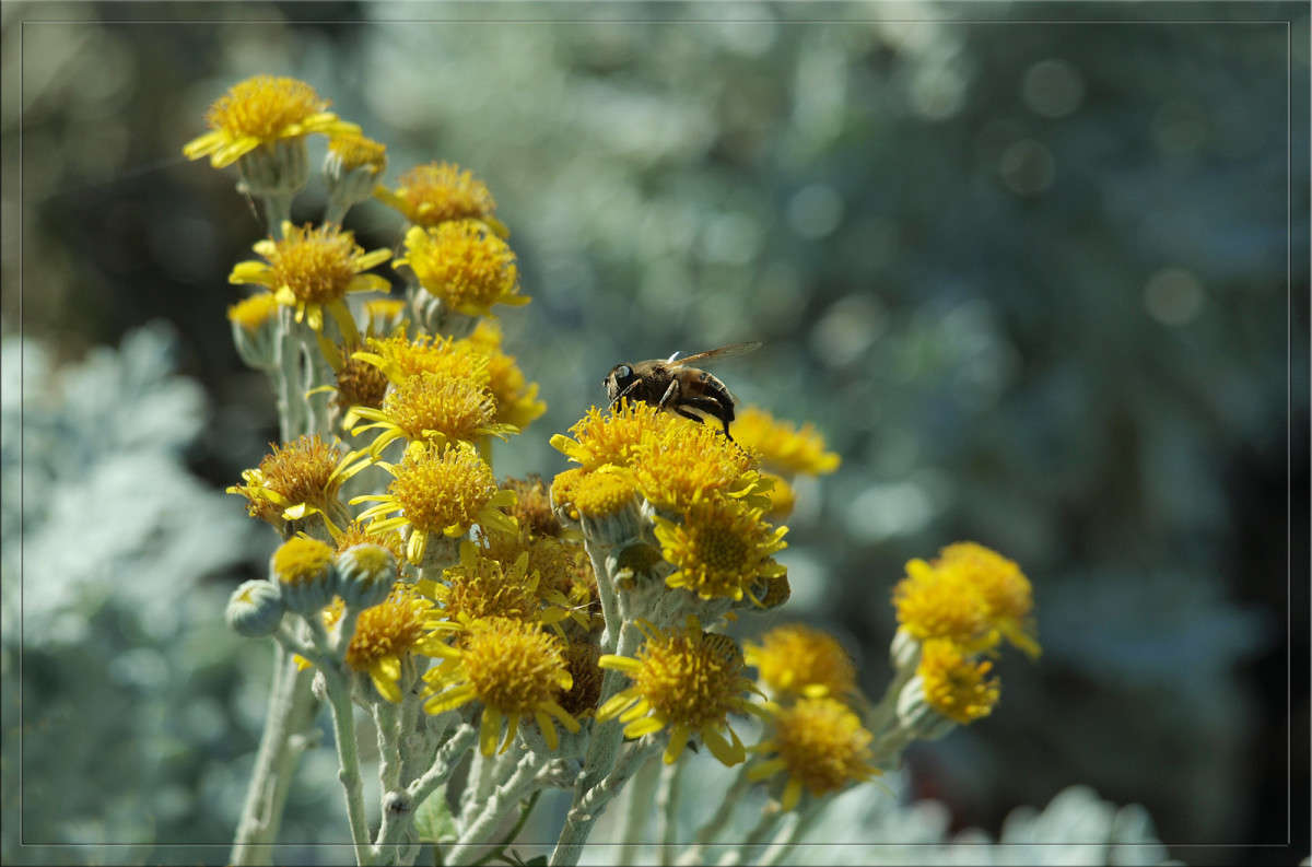 ��������� ���� ����� 38 ����� ������  �� PhotoGeek.ru #������ ��� �������