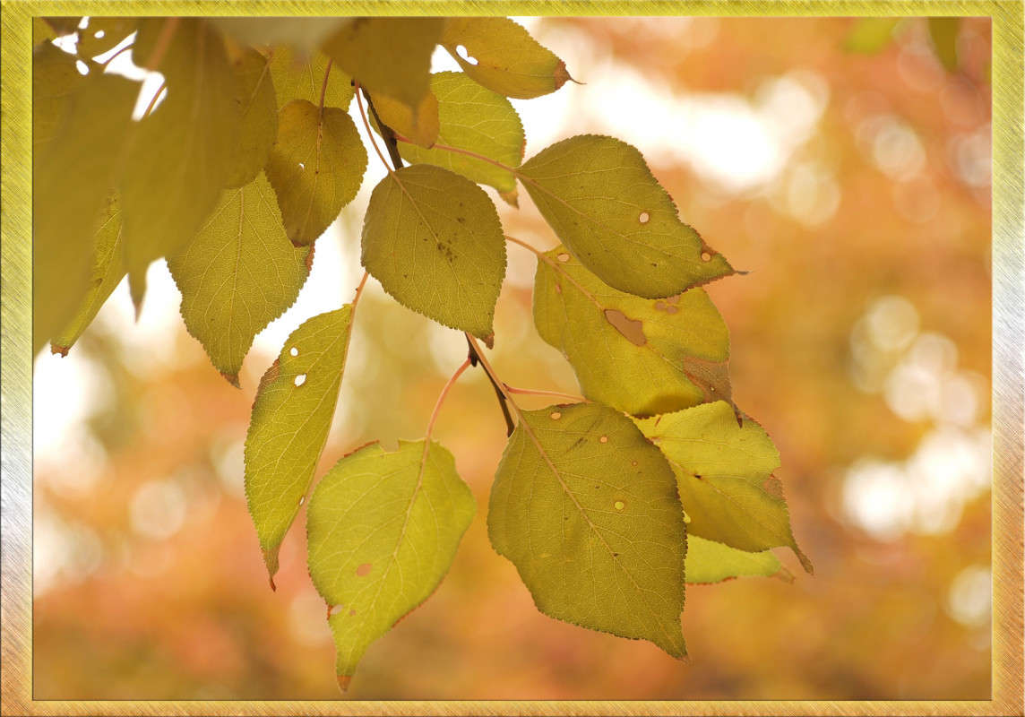 ������ ����� ����� ������  �� PhotoGeek.ru #������ ��� �������