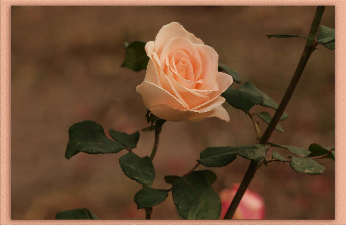 ��� ������ 2 ����� ������  �� PhotoGeek.ru #������ ��� �������