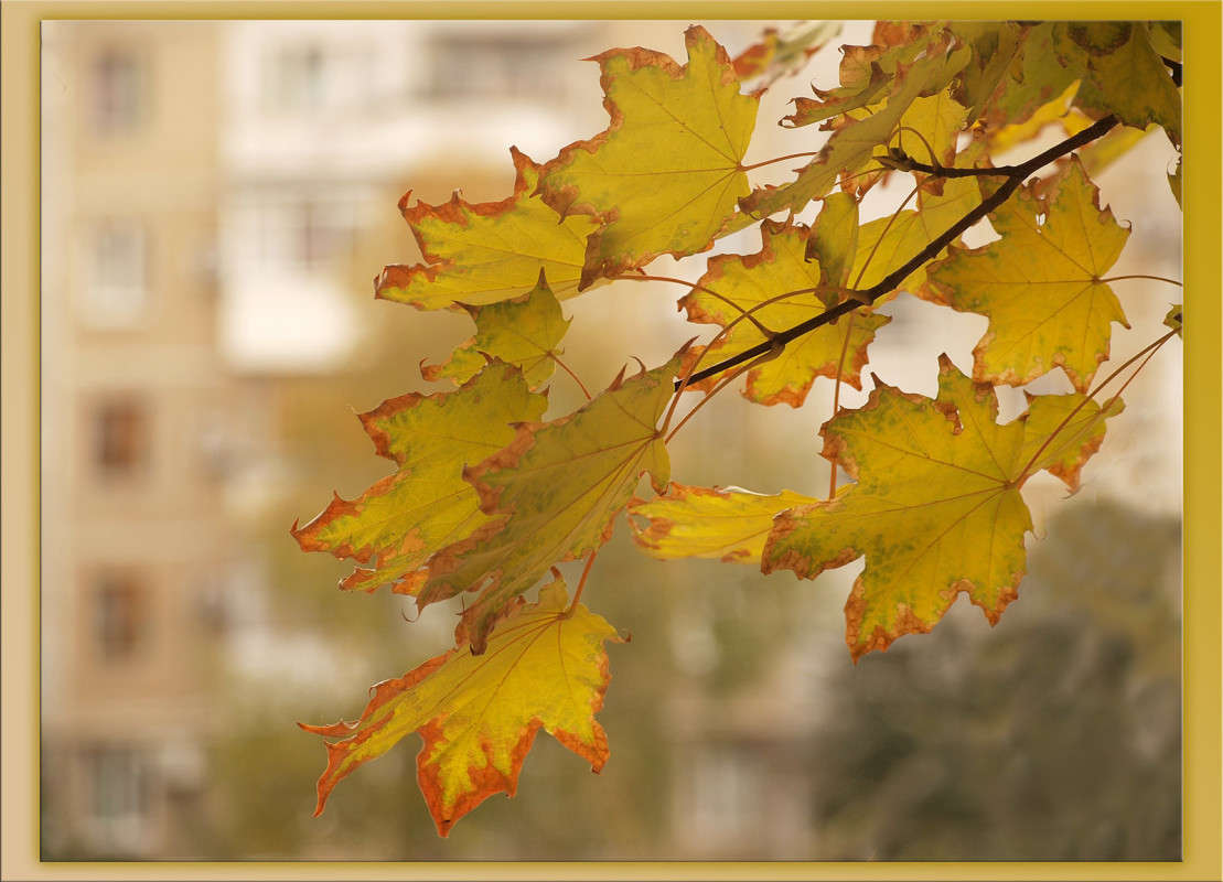 ������ ����� 2 ����� ������  �� PhotoGeek.ru #������ ��� �������