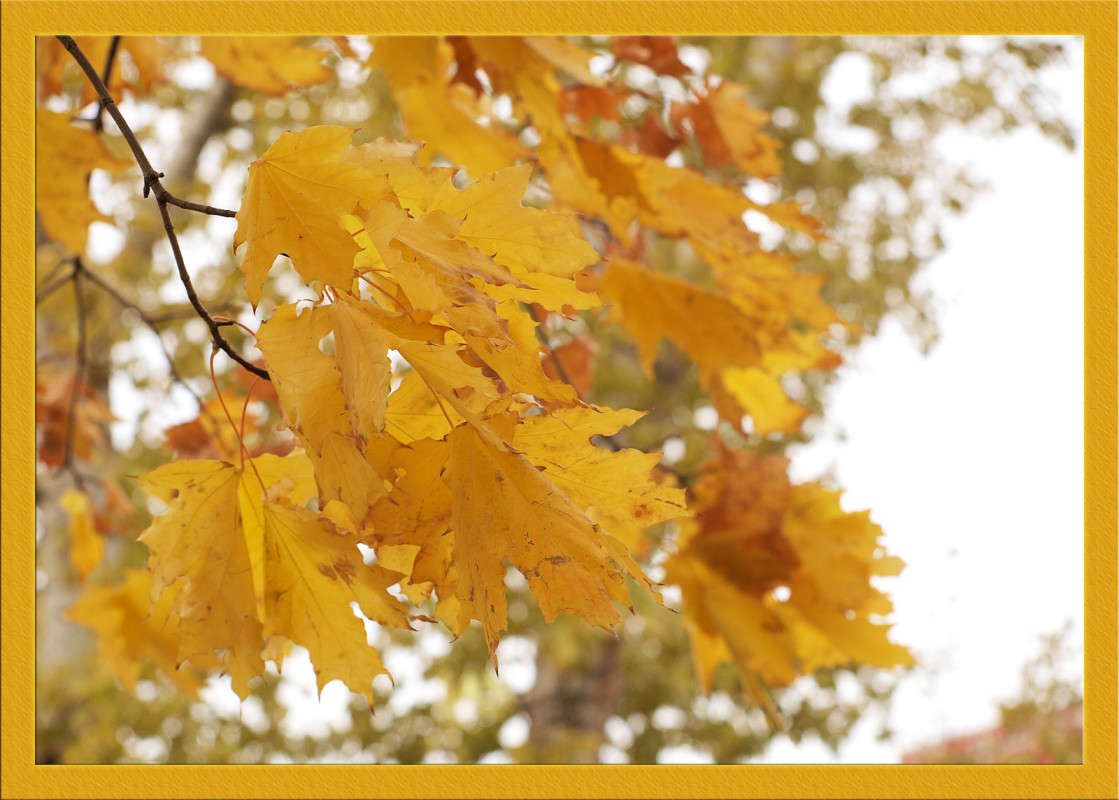 ������ ����� 3 ����� ������  �� PhotoGeek.ru #������ ��� �������