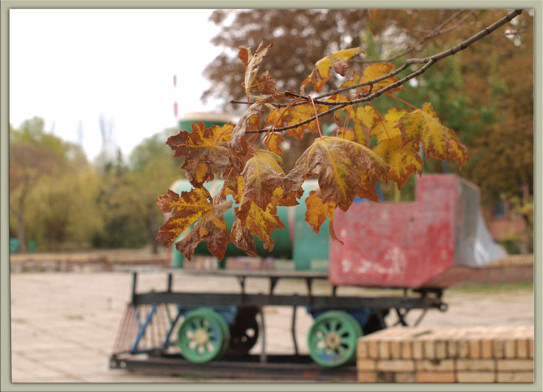 ��������� ����� ������  �� PhotoGeek.ru #�����