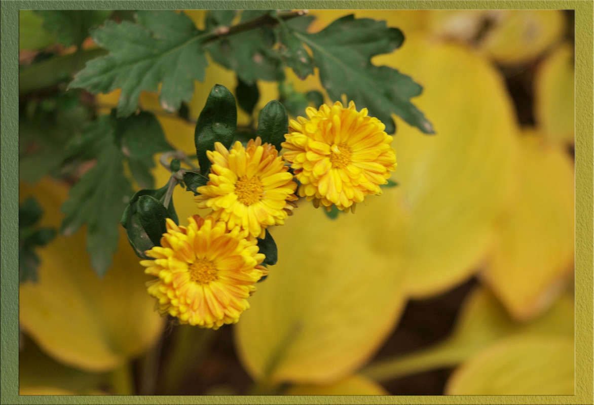 ��������� ����� ����� ������  �� PhotoGeek.ru #������ ��� �������