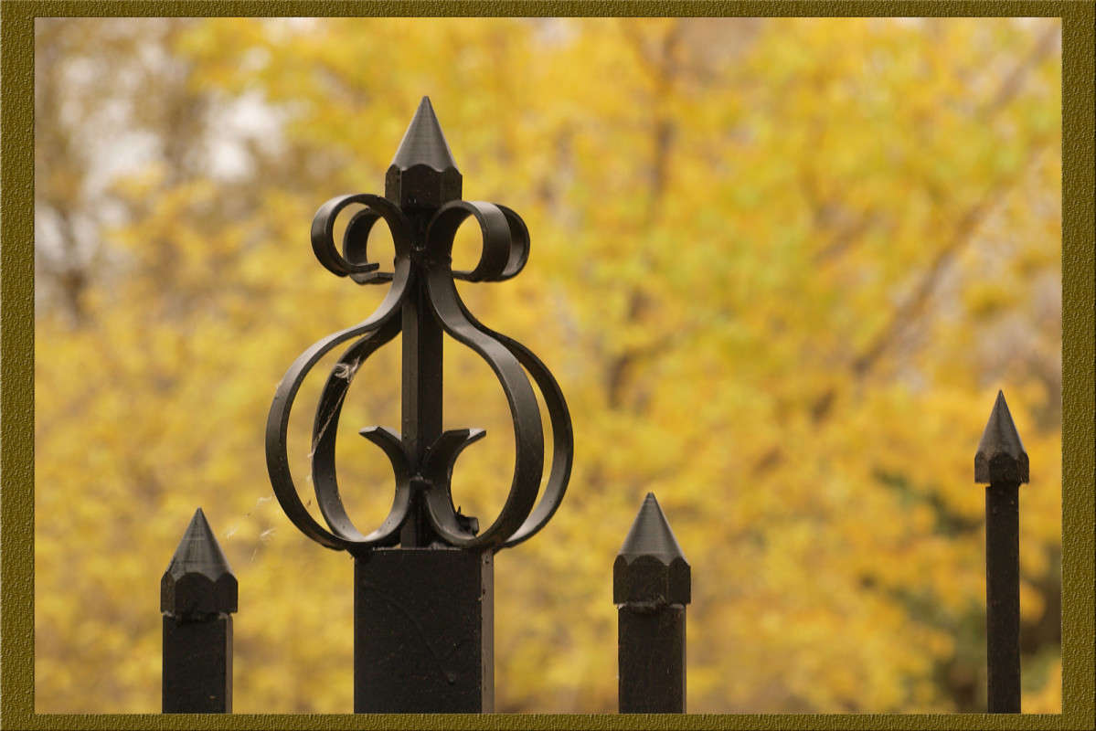 ������ 2 ����� ������  �� PhotoGeek.ru #�������� ����������