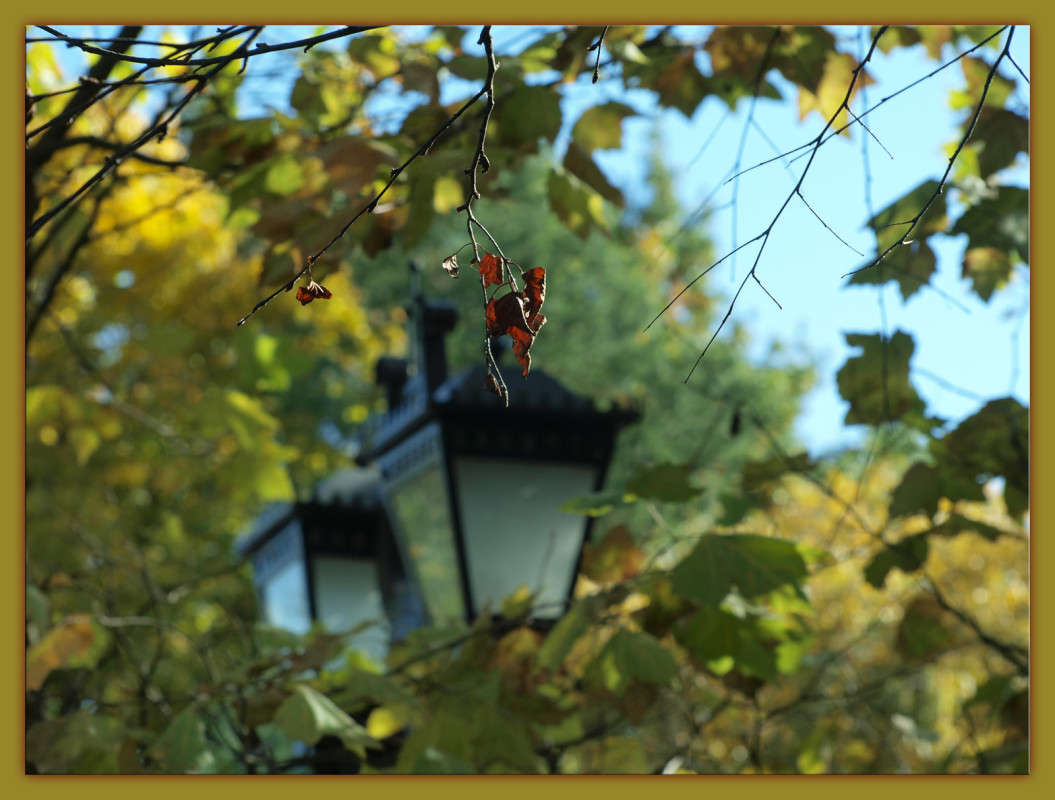 ������� � ��������� �������� ����� ������  �� PhotoGeek.ru #������ ��� �������