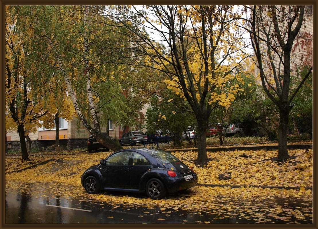 ����� ���� ����� ������  �� PhotoGeek.ru #�����