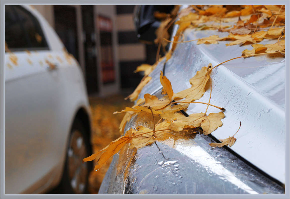 ��������� ����� ������  �� PhotoGeek.ru #�����