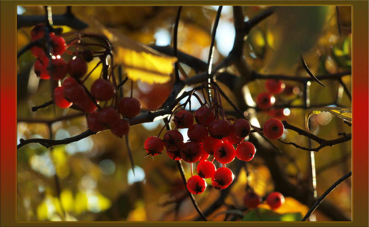 ������� � ������ ����� ������  �� PhotoGeek.ru #������ ��� �������