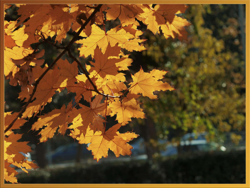 ������ ����� 5 ����� ������  �� PhotoGeek.ru #������ ��� �������