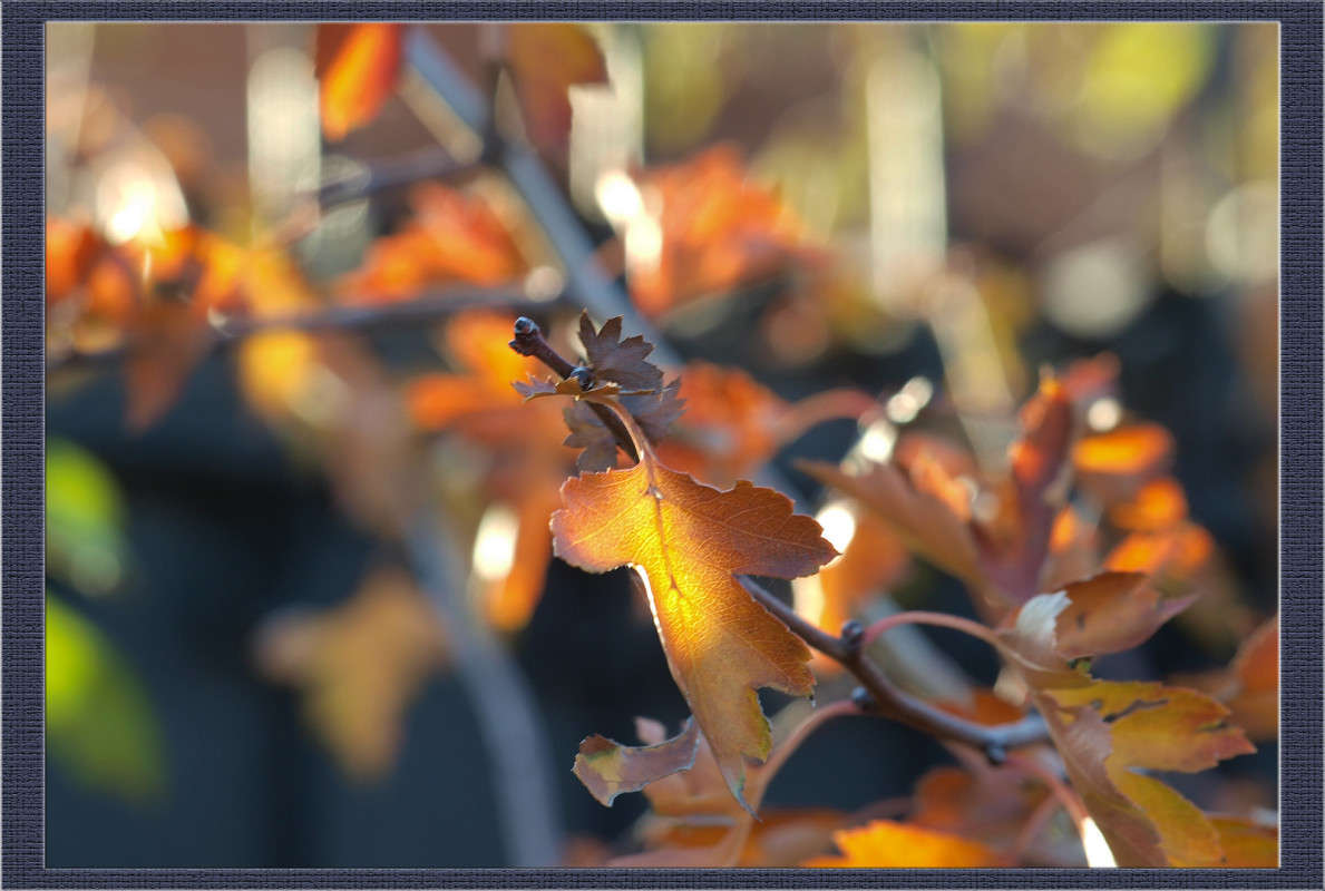 ��� �������� ������� ����� ������  �� PhotoGeek.ru #������ ��� �������