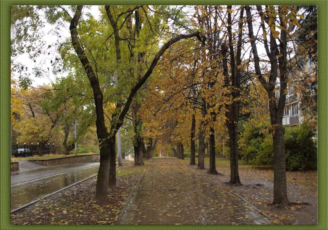 ����� ���� 8 ����� ������  �� PhotoGeek.ru #�����