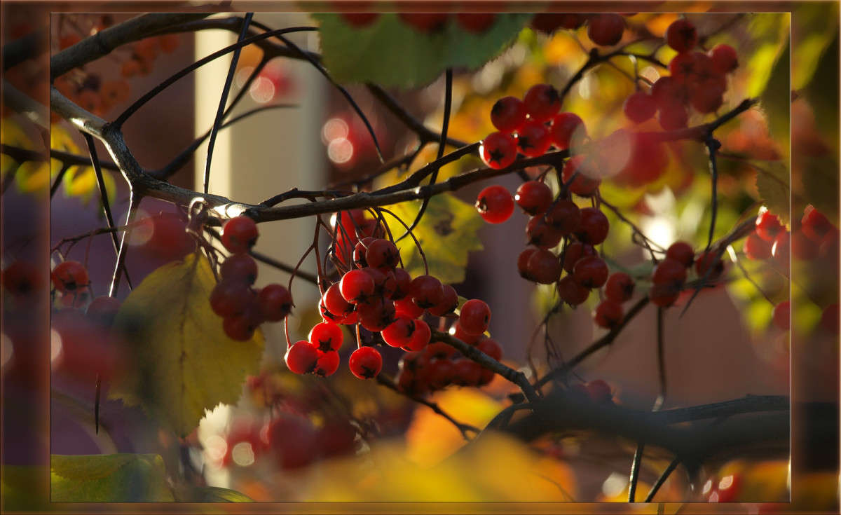 ������� � ������ 2 ����� ������  �� PhotoGeek.ru #������ ��� �������