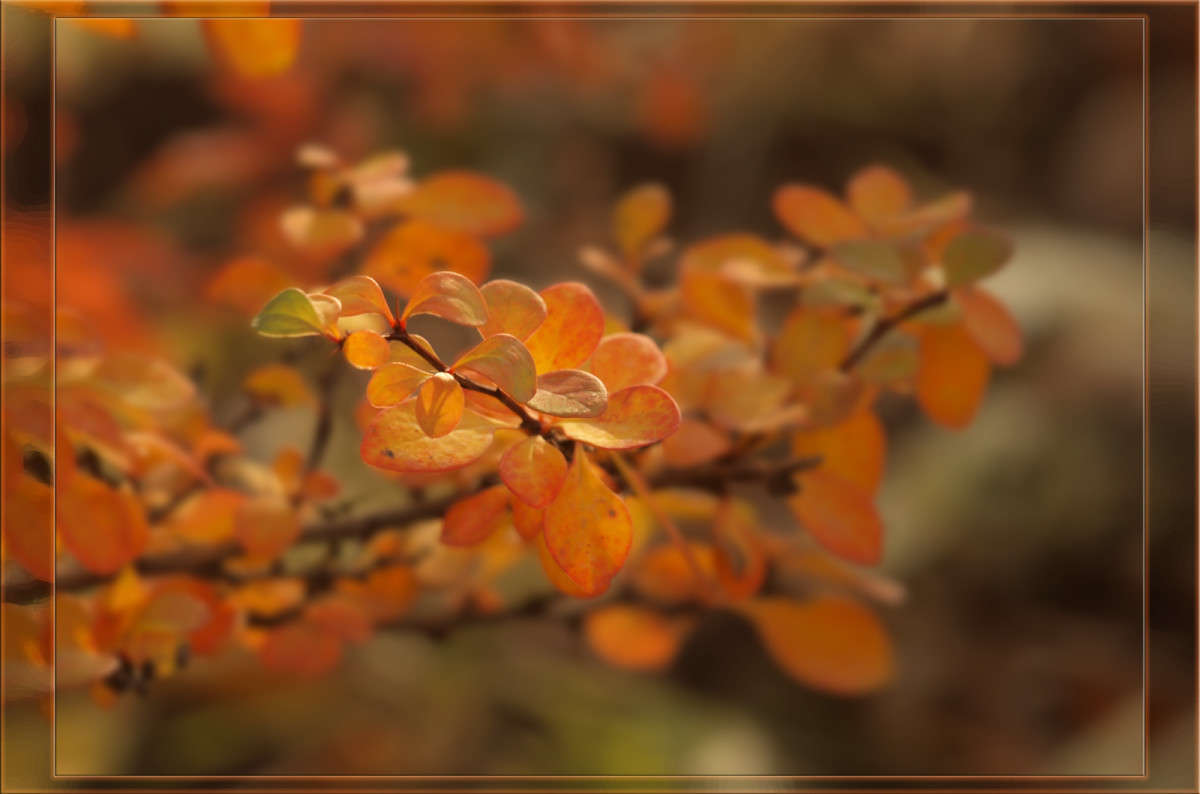 ������� � ������ 3 ����� ������  �� PhotoGeek.ru #������ ��� �������