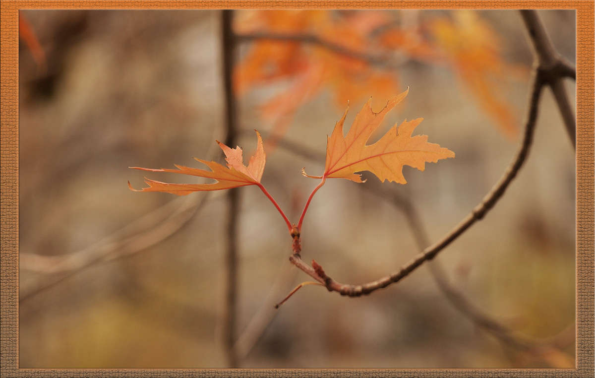 ������ ����� 7 ����� ������  �� PhotoGeek.ru #������ ��� �������