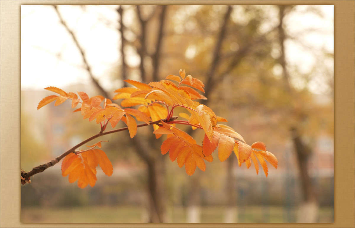 ������ ����� 8 ����� ������  �� PhotoGeek.ru #������ ��� �������