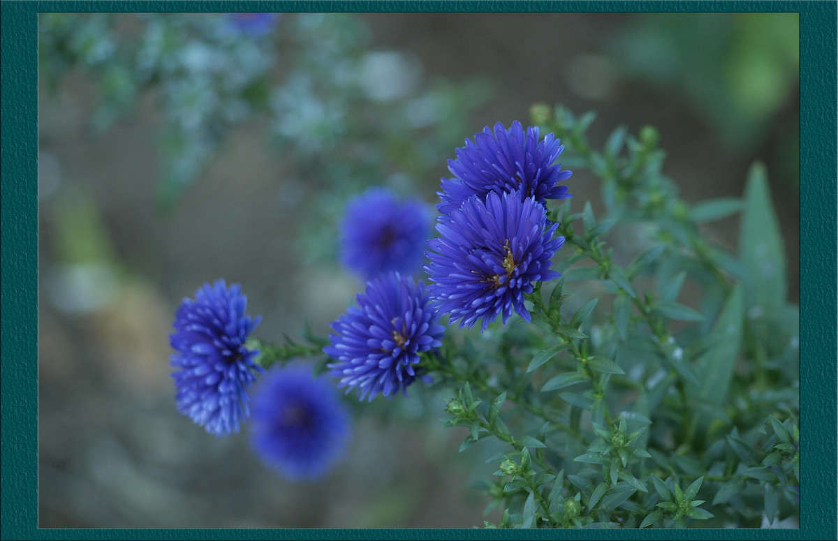 ����������� ����� ����� ������  �� PhotoGeek.ru #������ ��� �������