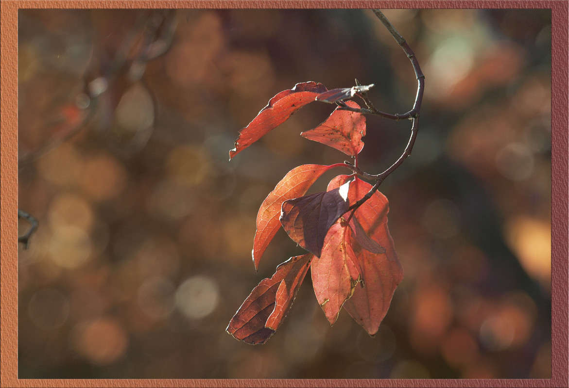 ������ ����� 9 ����� ������  �� PhotoGeek.ru #������ ��� �������