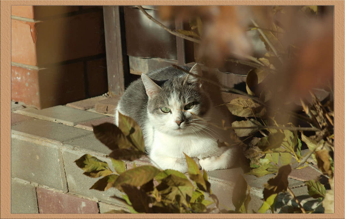 ����������� ����� ������  �� PhotoGeek.ru #�������� ���