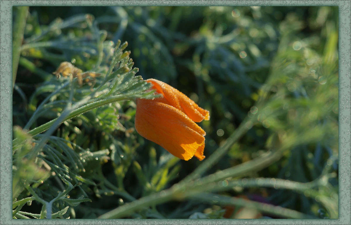 ������ ����� ����� ������  �� PhotoGeek.ru #������ ��� �������