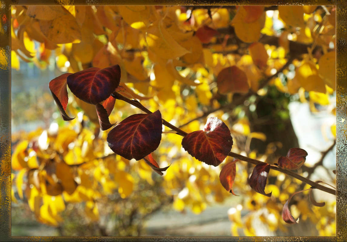 ������ ����� 10 ����� ������  �� PhotoGeek.ru #������ ��� �������