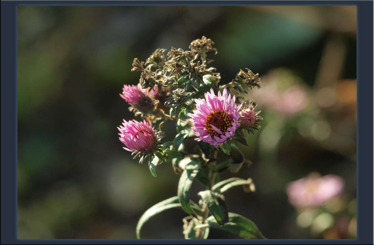 ��������� ���� ����� 39 ����� ������  �� PhotoGeek.ru #������ ��� �������