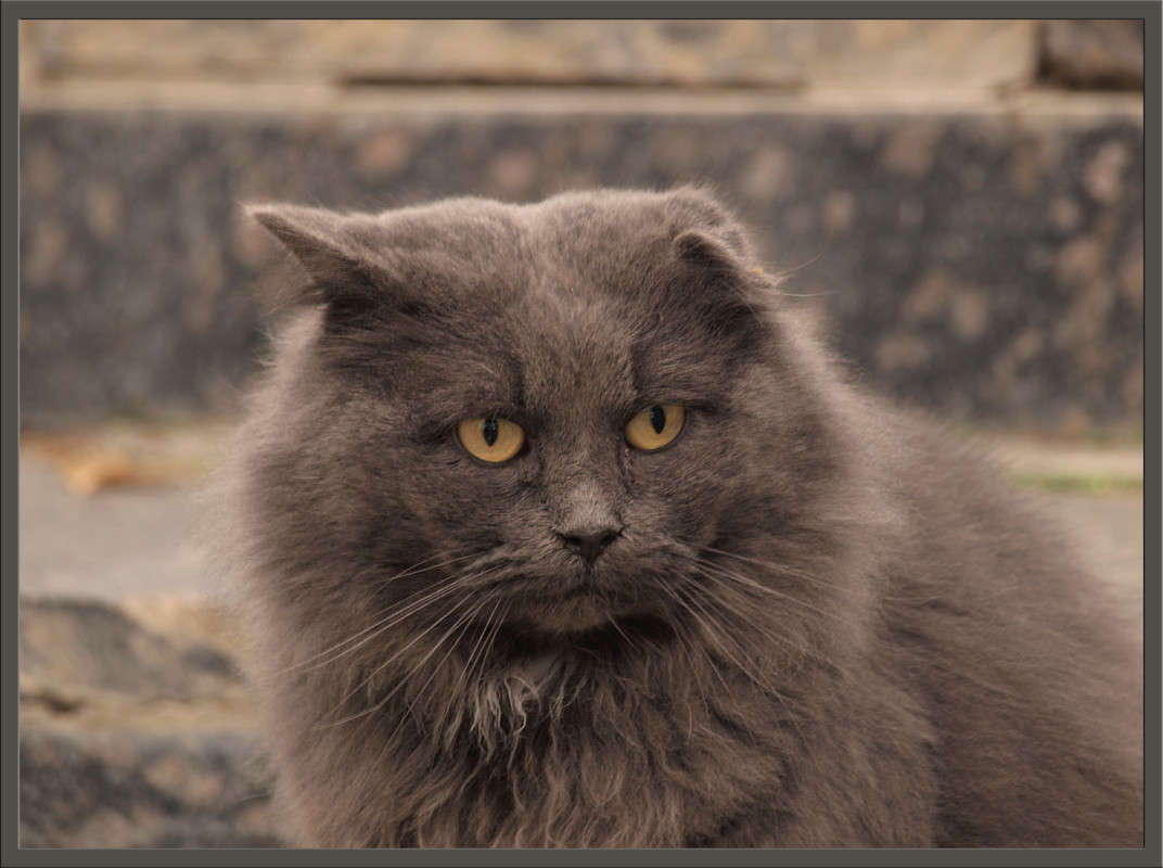 ������ ����� ����� ������  �� PhotoGeek.ru #�������� ���