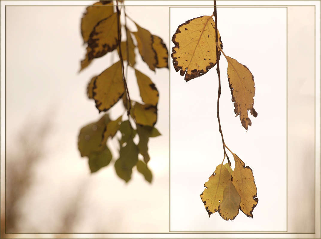 ��� ������ 3 ����� ������  �� PhotoGeek.ru #������ ��� �������