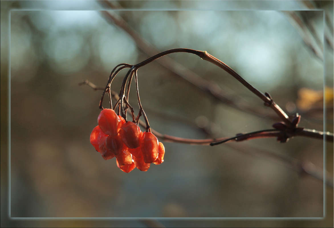 ������ ��������� ��� ������? ����� ������  �� PhotoGeek.ru #������ ��� �������