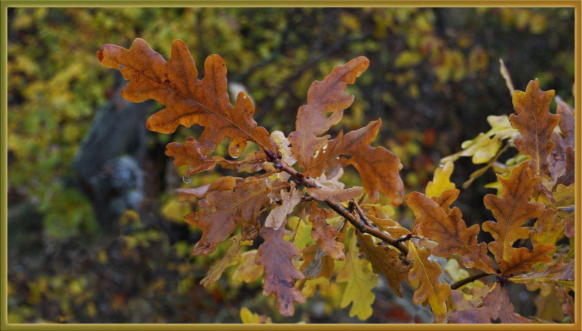 ������ ����� 11 ����� ������  �� PhotoGeek.ru #������ ��� �������