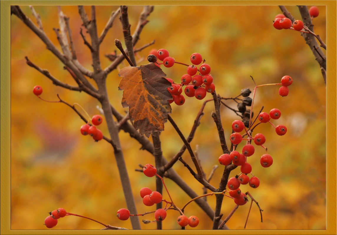 ������������� �������� ����� ������  �� PhotoGeek.ru #������ ��� �������