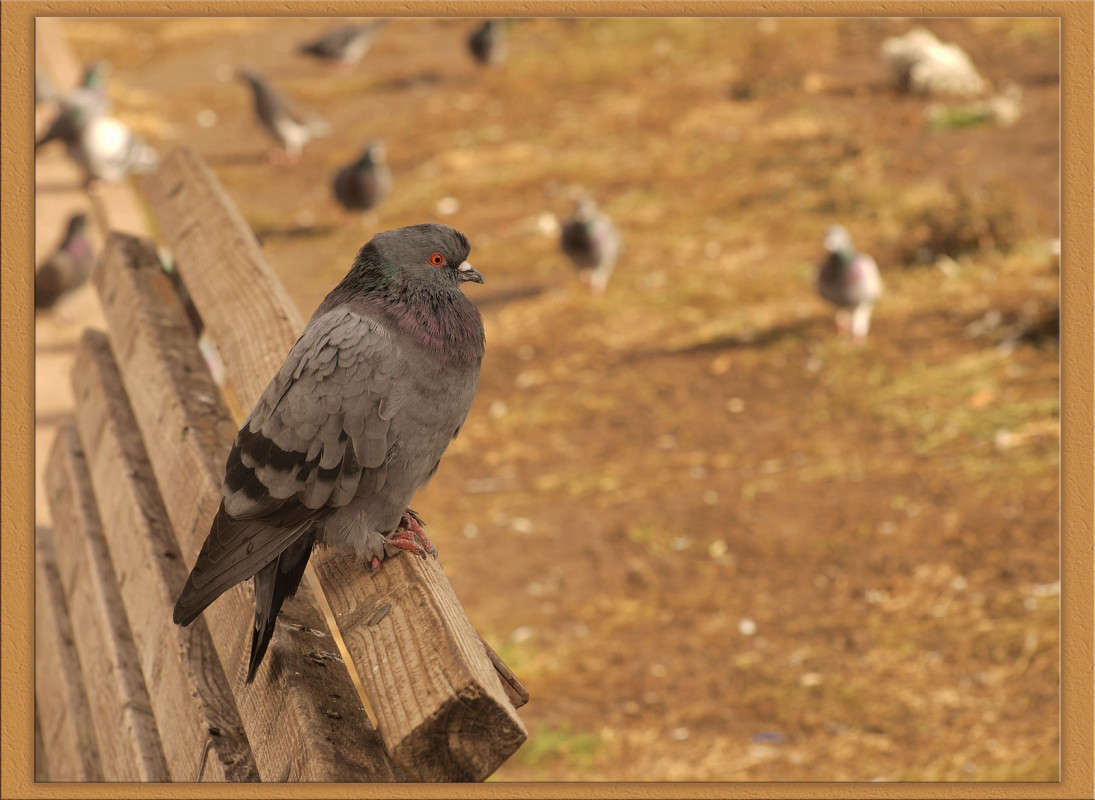 � ������������ ����� ������  �� PhotoGeek.ru #�������� ���