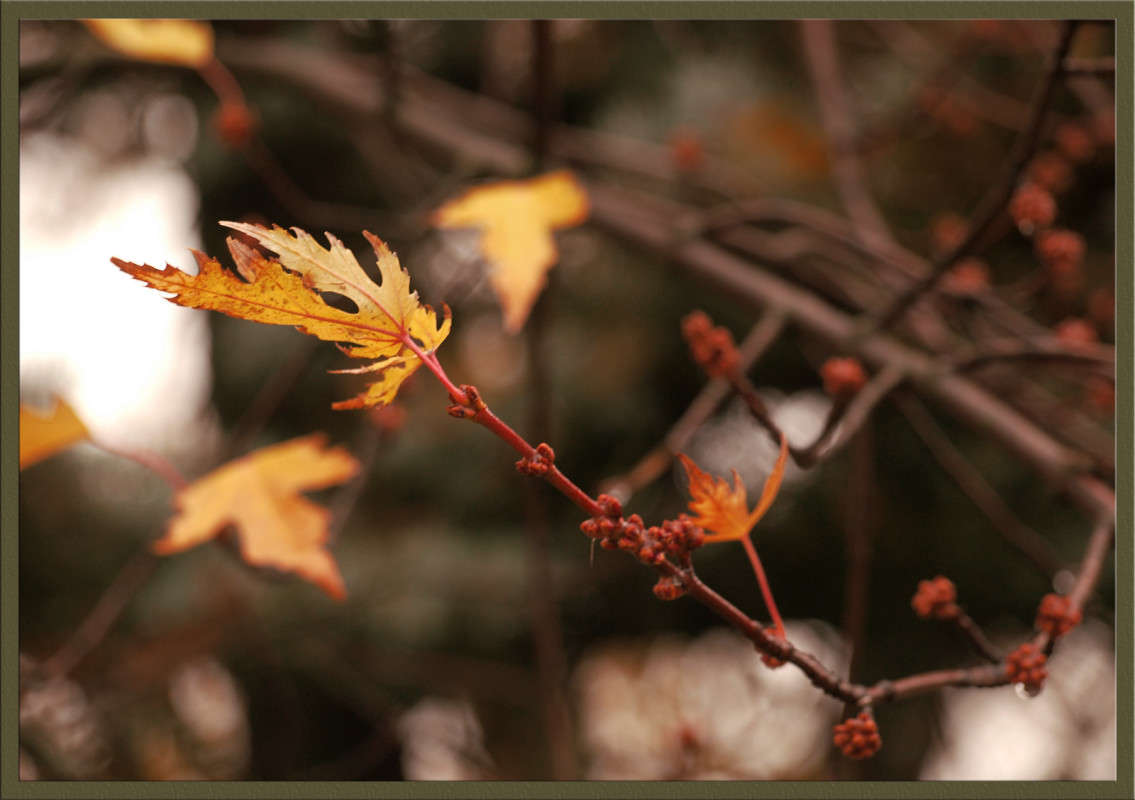 ������ ���� � ����� ����� ����� ������  �� PhotoGeek.ru #������ ��� �������