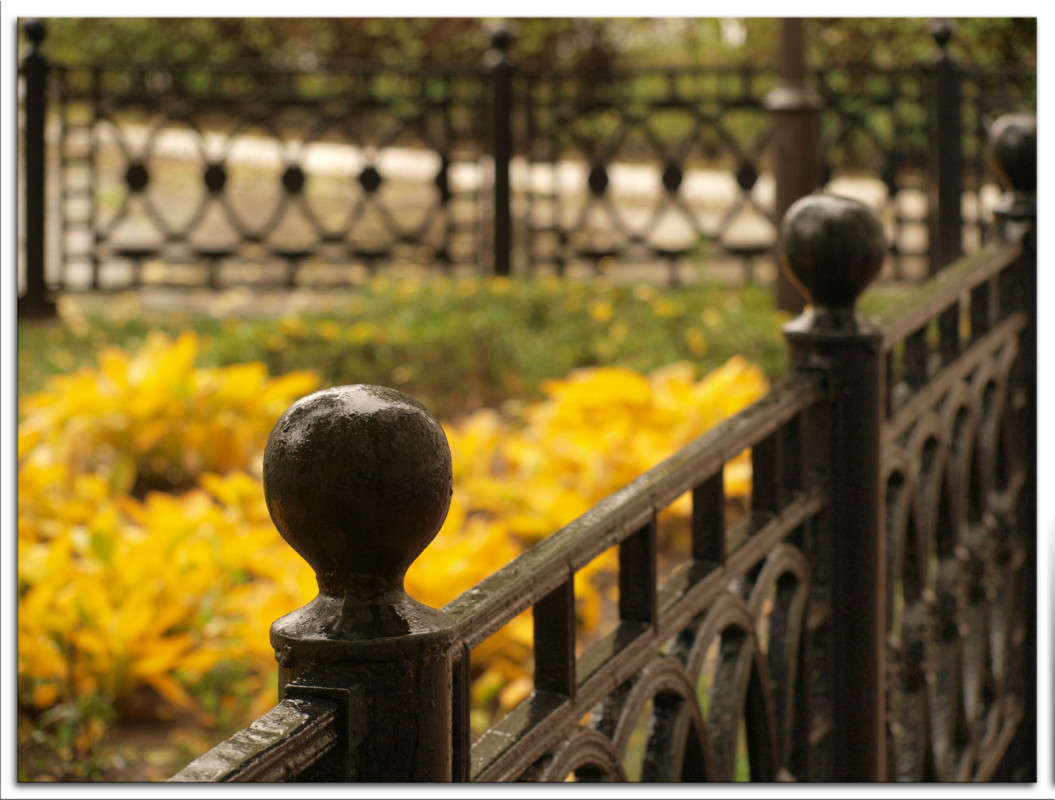 �������� ����� ������  �� PhotoGeek.ru #�����