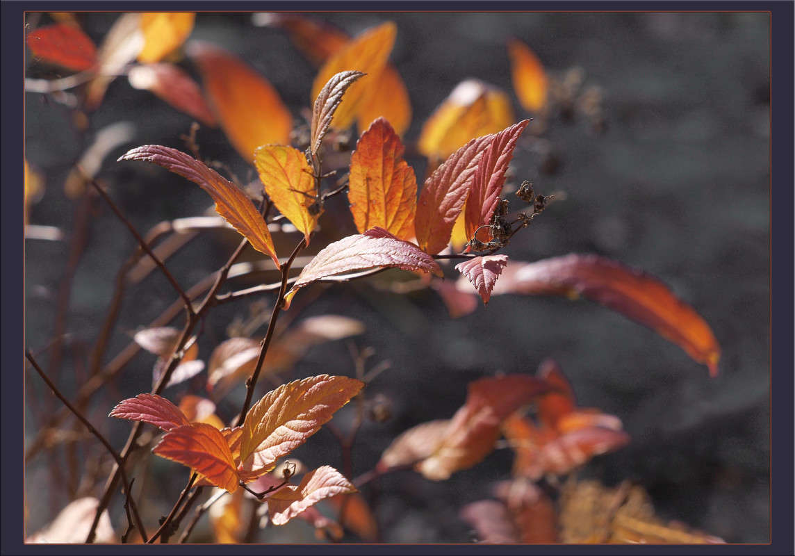 ���� ���� �������� ������ ����� ������  �� PhotoGeek.ru #������ ��� �������