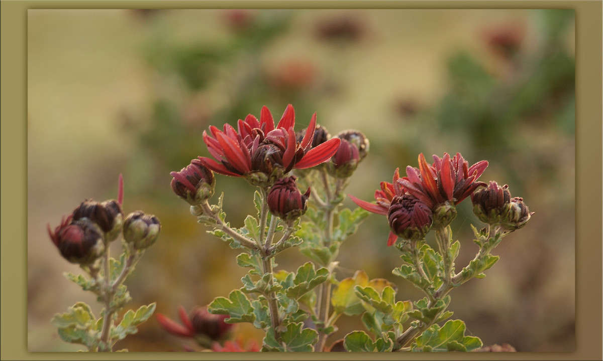 � ���� ����� ������  �� PhotoGeek.ru #������ ��� �������