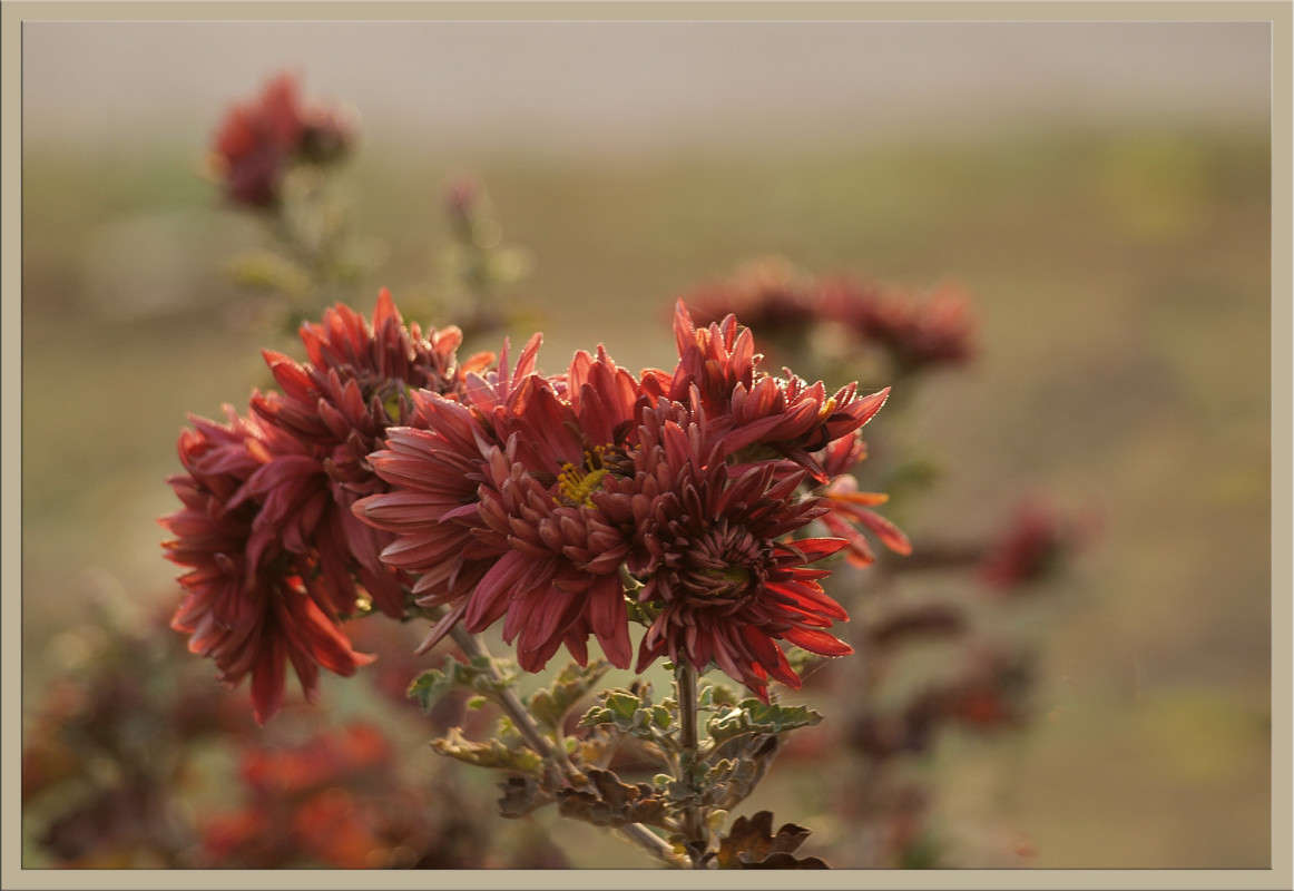 � ���� 2 ����� ������  �� PhotoGeek.ru #������ ��� �������